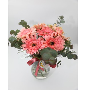 Love You Pembe Gerbera
